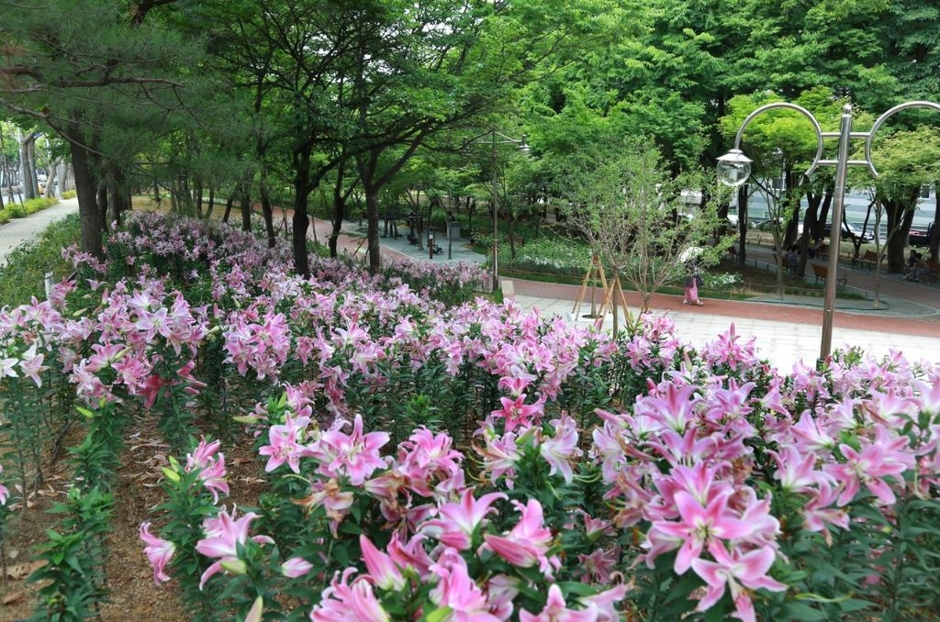 대구 서구 그린웨이
