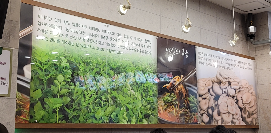 미나리와 버섯의 효능