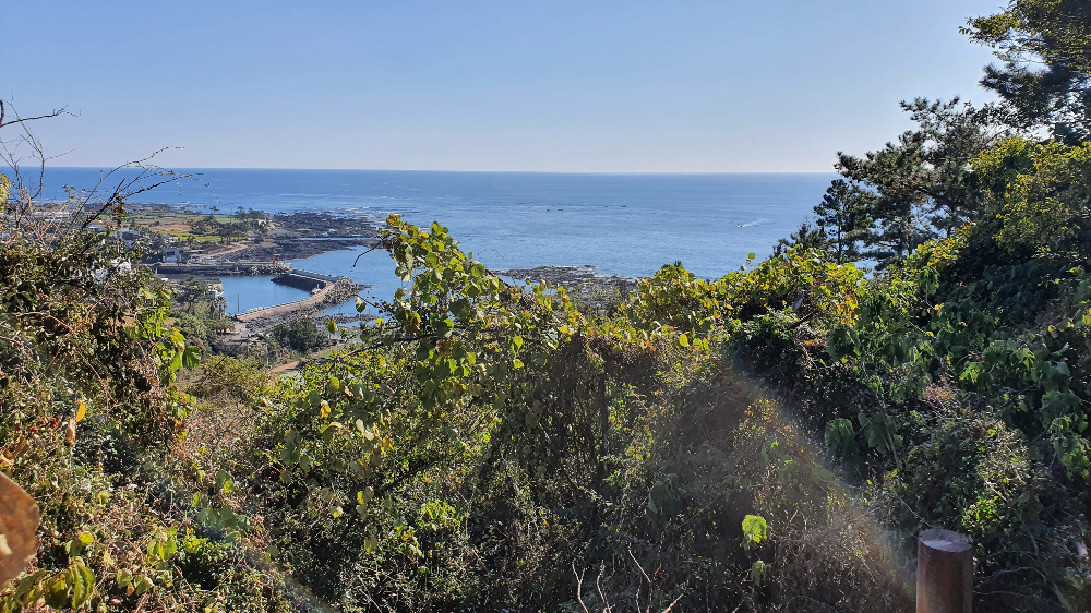 제주 올레9코스