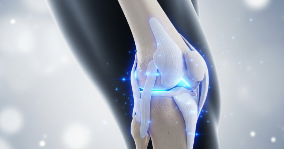 관절에 좋은 영양제