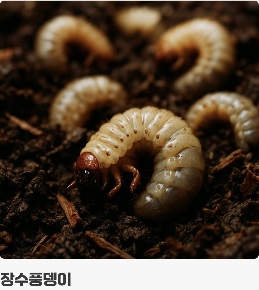 살아가는 집이 달라요