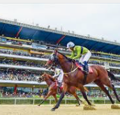 한국마사회 경마지원직 채용 총정리