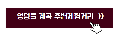 국내 봄 여행지
