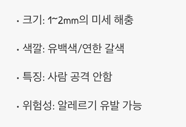 먼지 아니에요, 살아있는 생명체입니다