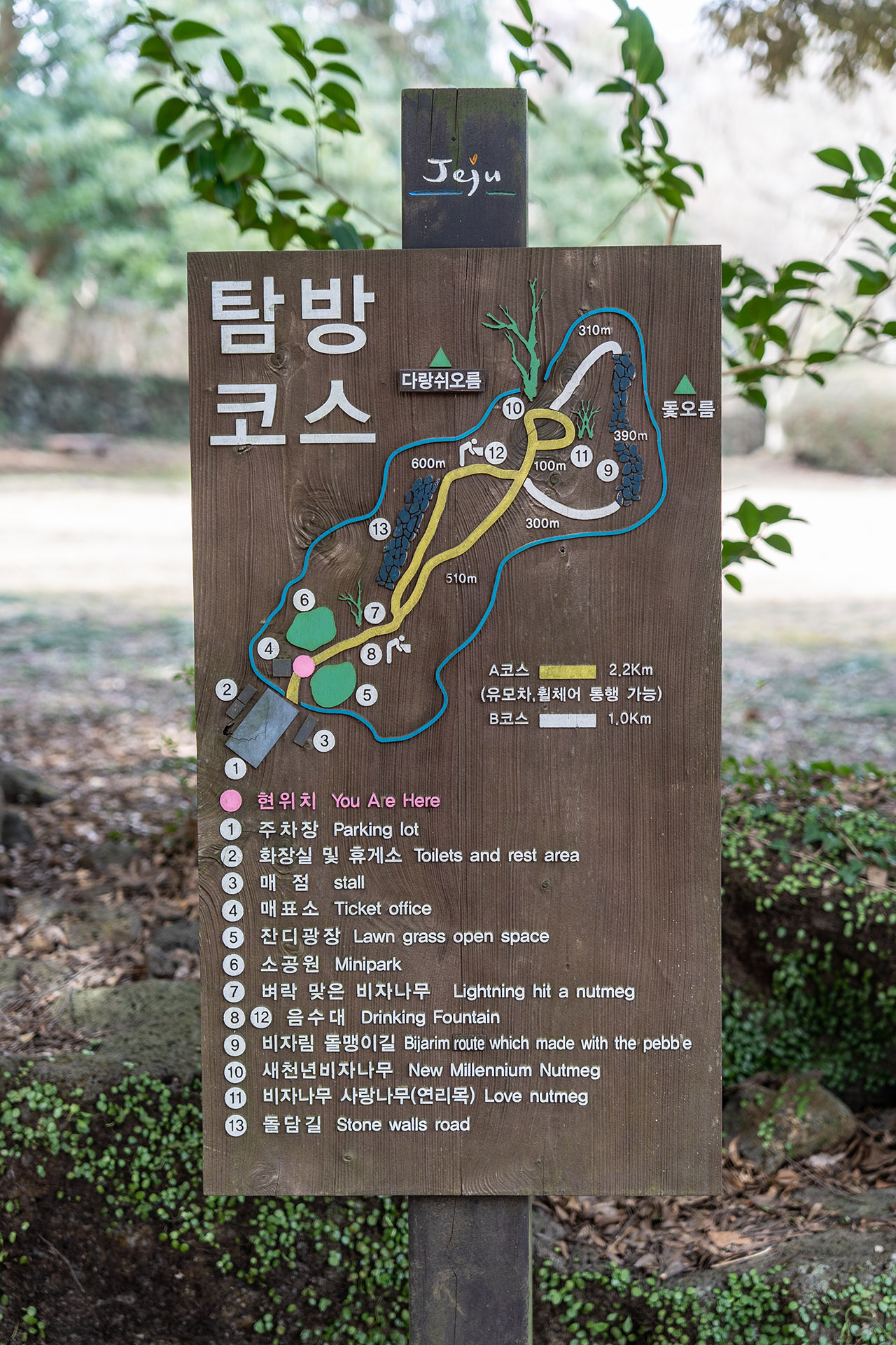 비자림 탐방 코스