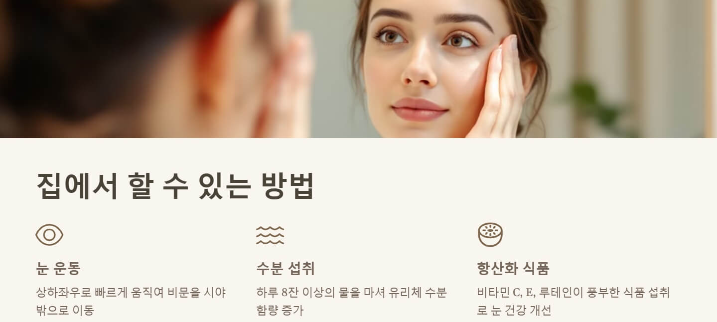 비문증 원인 자연치유 치료방법