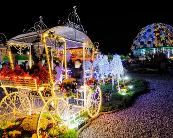 고흥 유자축제_29