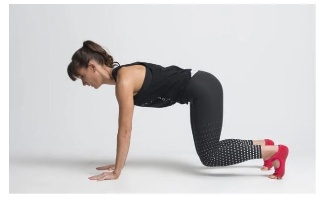 네발 기기 자세로 플랭크하고 있는 이미지 입니다.