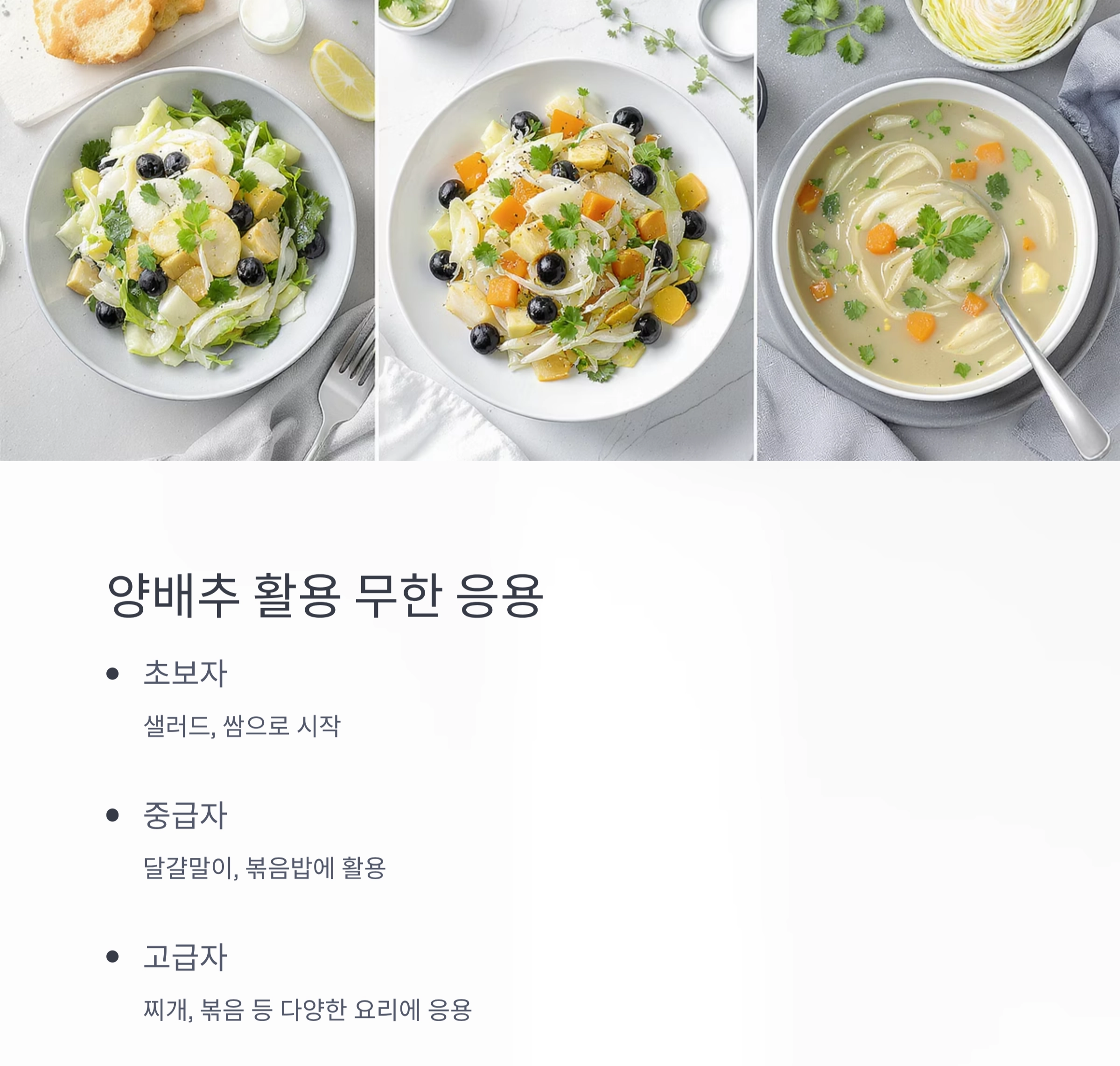 전자렌지로 뚝딱! 양배추 찜과 초간단 샐러드 활용법