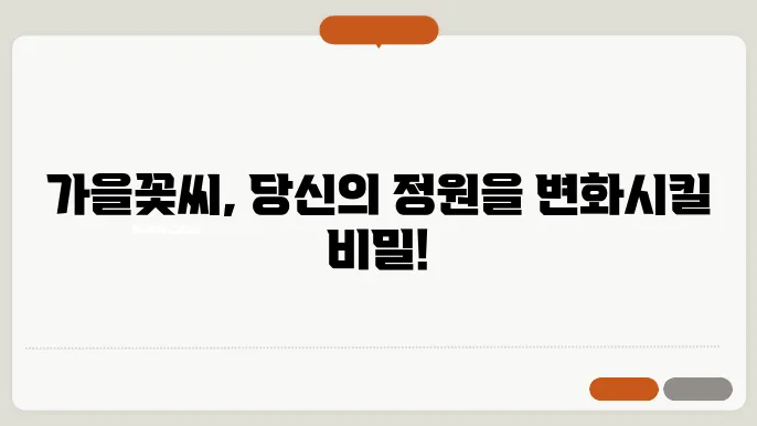 가을꽃