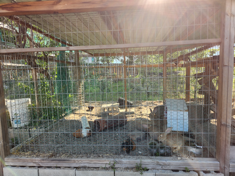 포천 아쿠아마린 글램핑