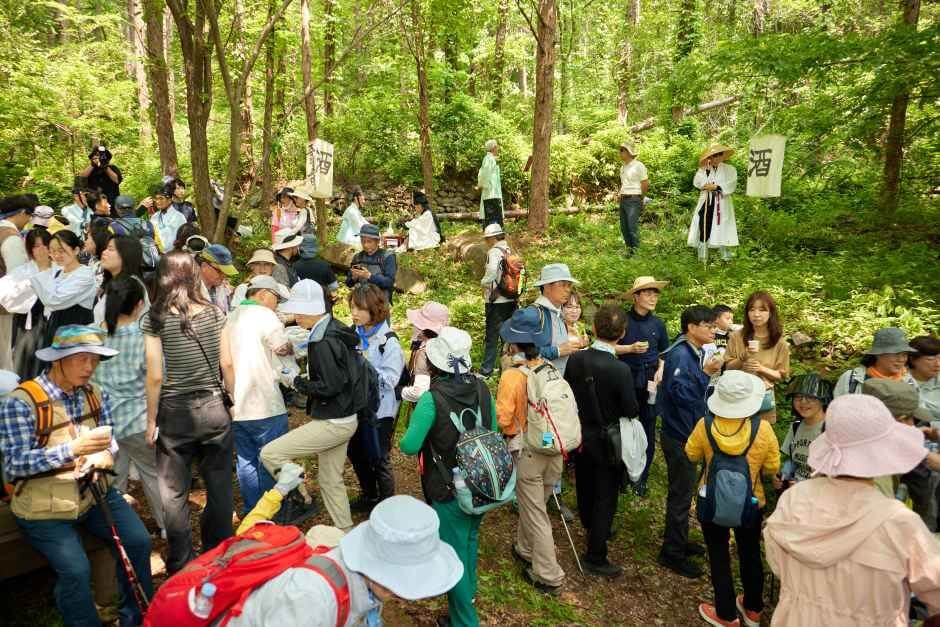 영주 소백산 철쭉제