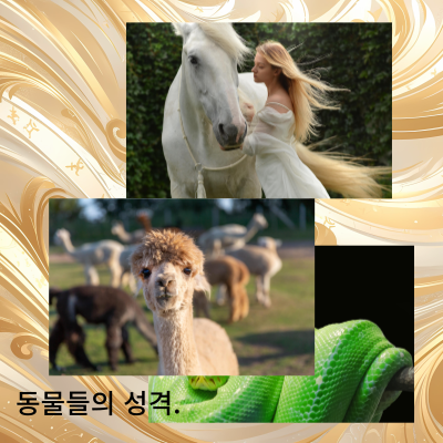 뱀띠말띠양띠가 좋아하는선물