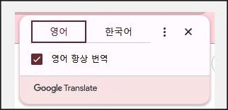 Google 번역 자동 번역 팝업