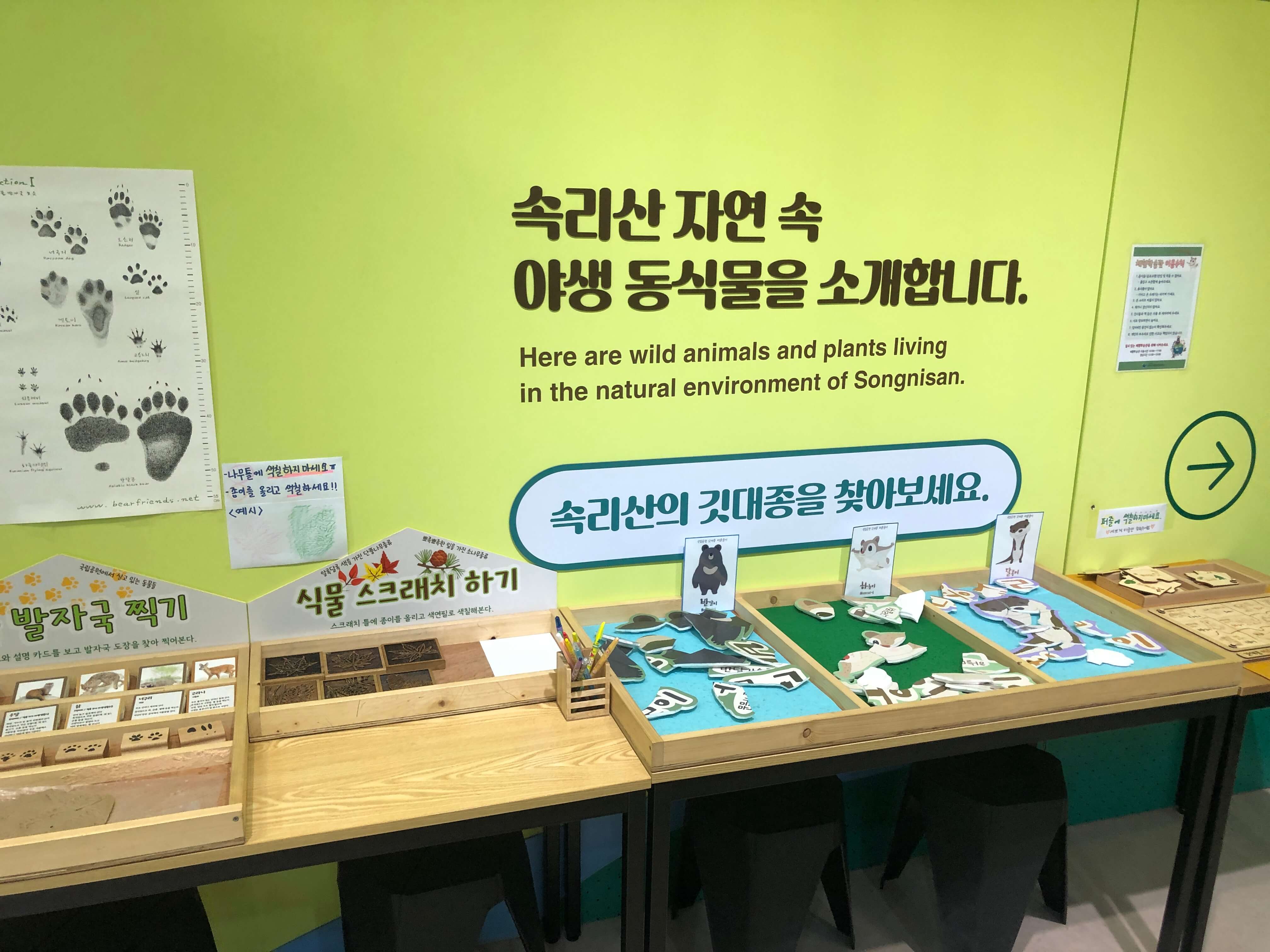 민수랜드-속리산체험학습관 깃대종