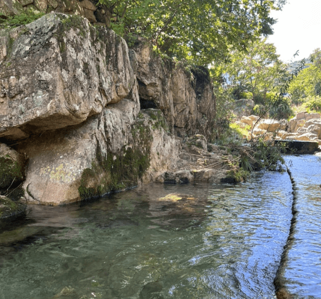 공주-동학사계곡
