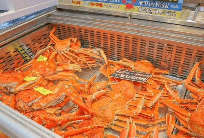 강릉 가볼만한곳 베스트10