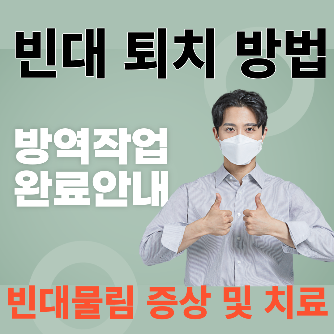 빈대퇴치방법