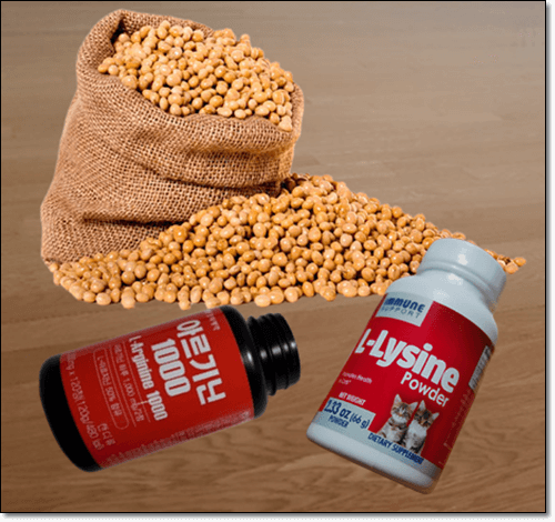 엘라이신 아르기닌