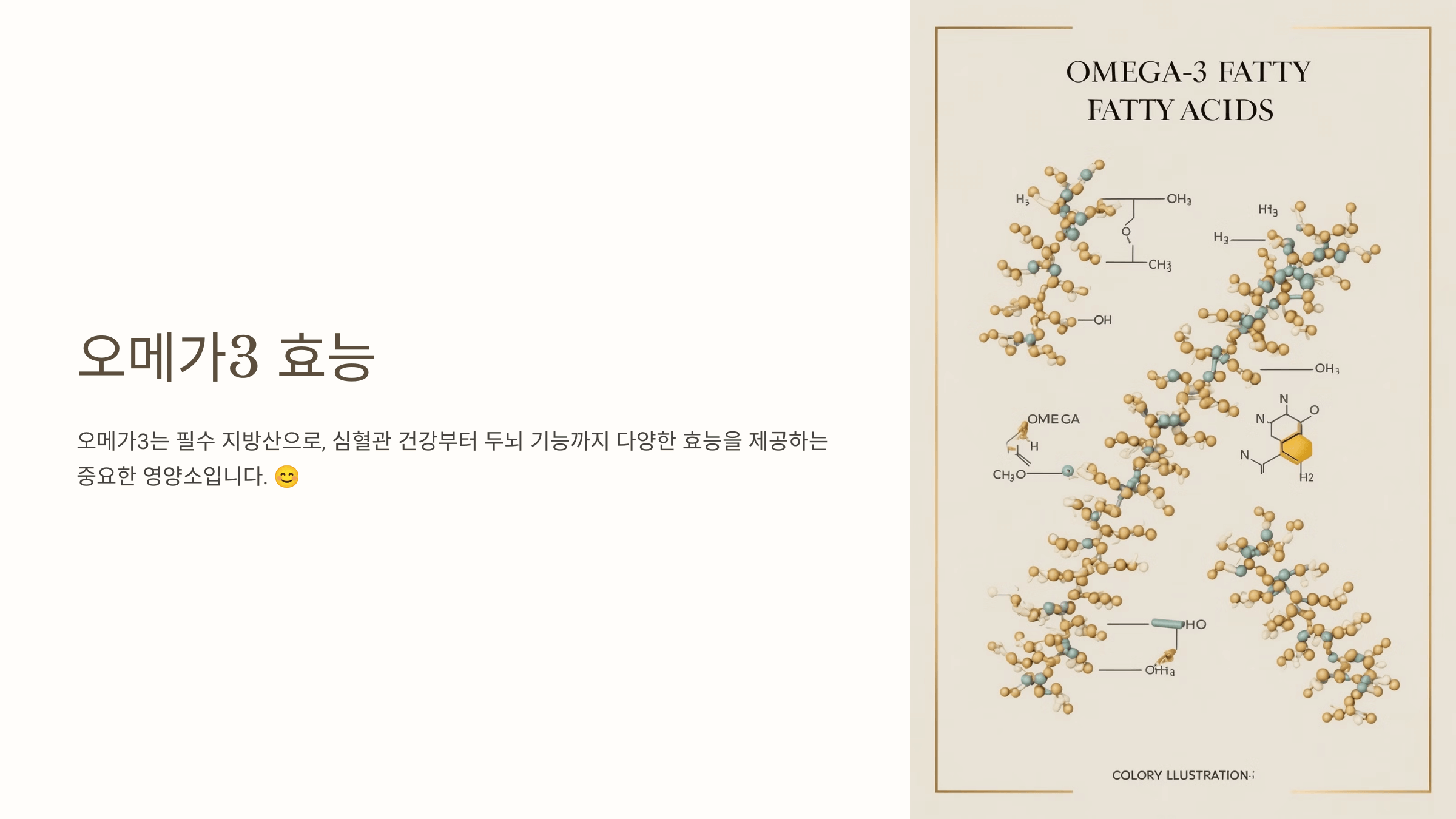 오메가3와 관련된 사진입니다.