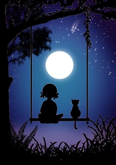 고양이 꿈 해몽 사진