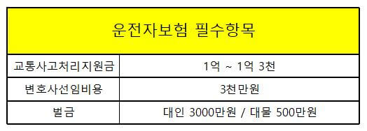 운전자보험 보장내용
