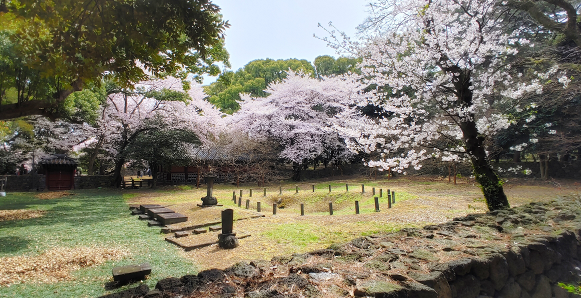 국내 봄 여행지