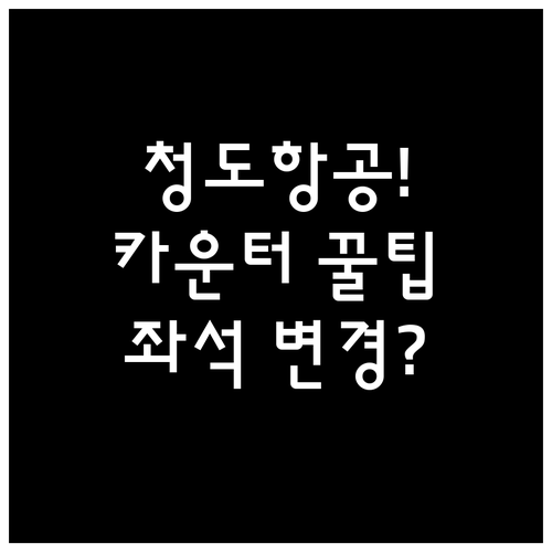 청도항공 공항 카운터에서 좌석 변경하..