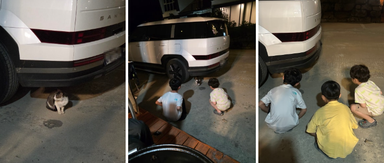 [6월 문경] 더모스트풀빌라펜션 후기 ❘ 프라이빗 수영장에서 아이들과 물놀이 제대로 즐긴 1박 2일
