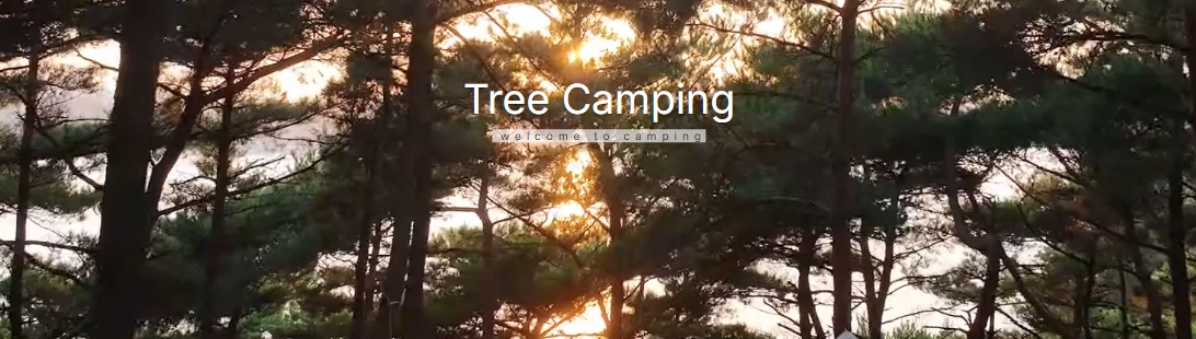 2024 가을 낭만 캠핑장 추천