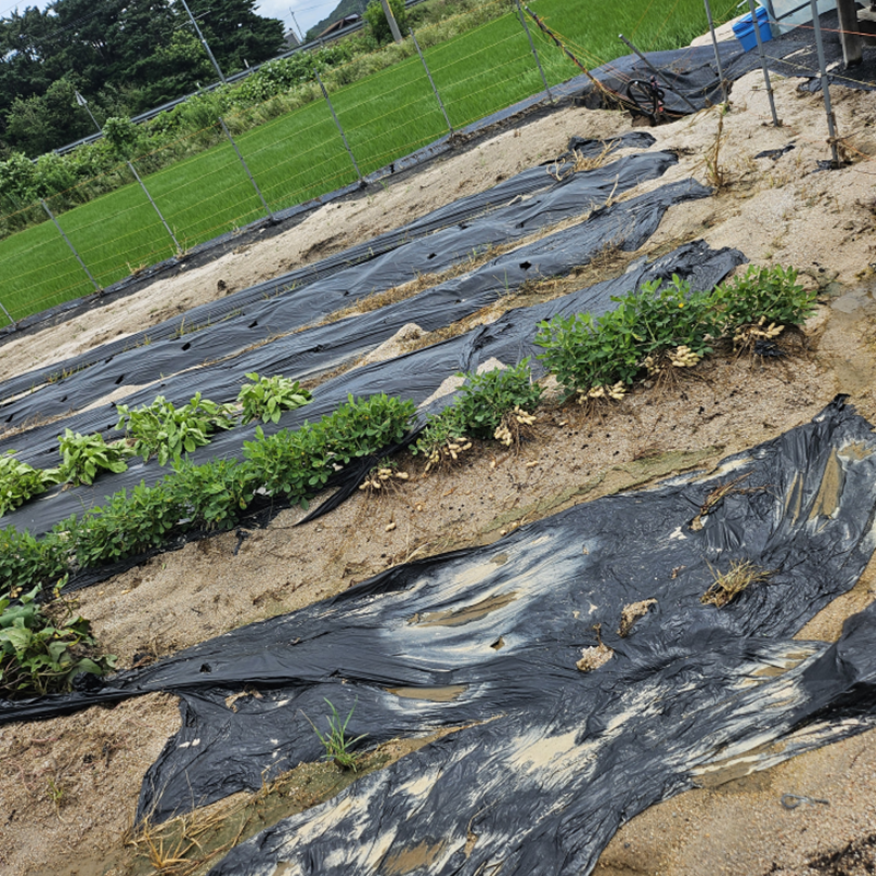 당진시침수 보상 지원