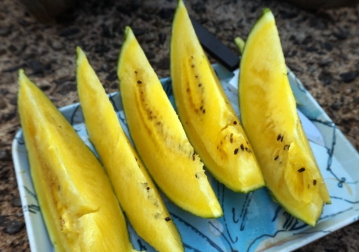 동네한바퀴-하동-열대과일-농장-박철경