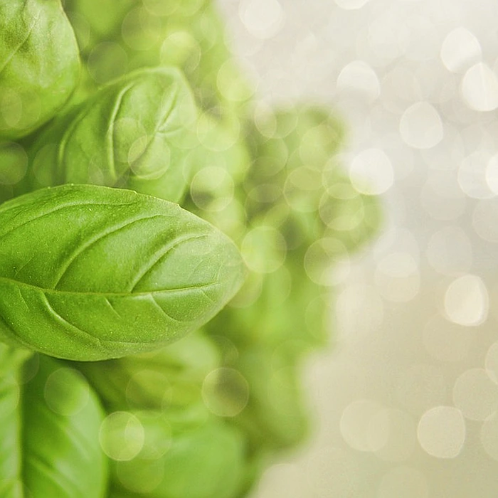 면역력 강화 식품