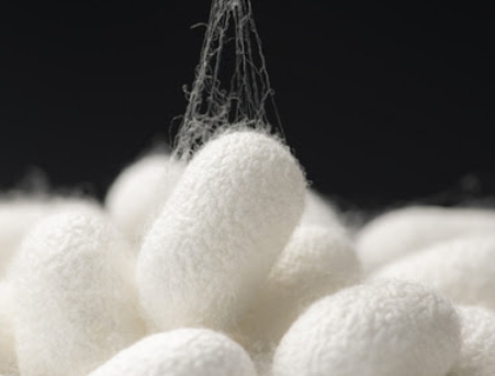 한국의 떡 종류 고치떡-누에고치