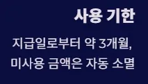 2025 전국민 민생지원금 1차지급 지급방식 및 사용처 - 사용기한