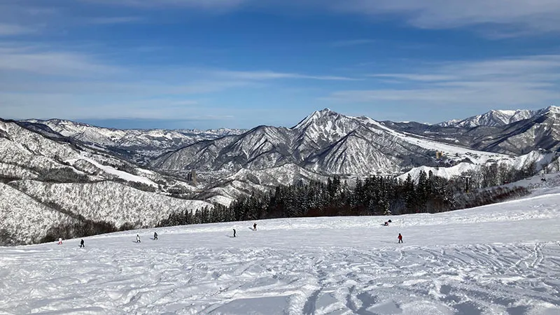 신립 스노우 리조트