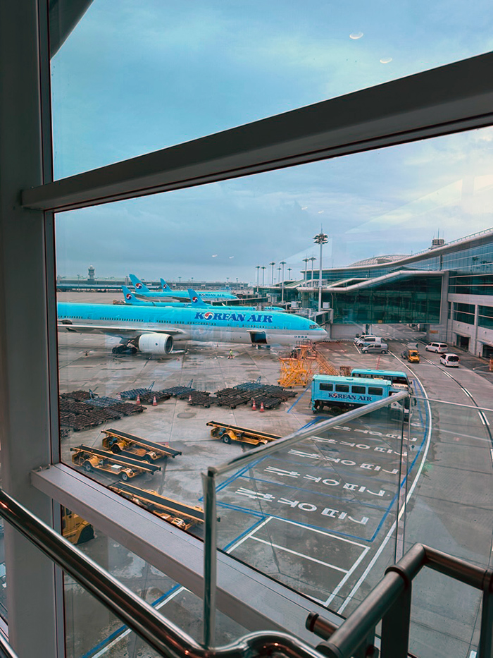 대한항공 일반석 이코노미석 인천 삿포로행 KE765편 A330-300