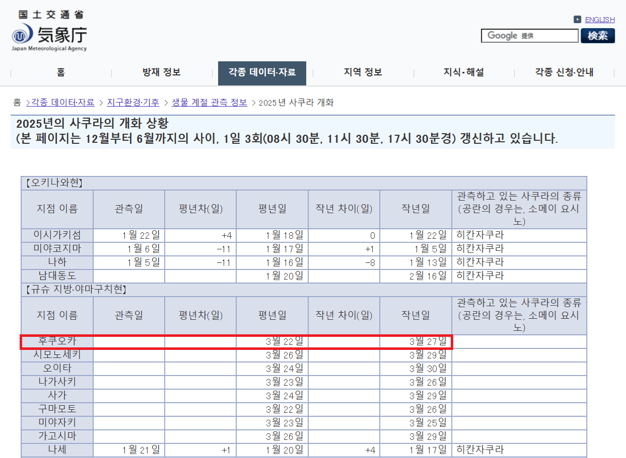후쿠오카 벚꽃 개화시기