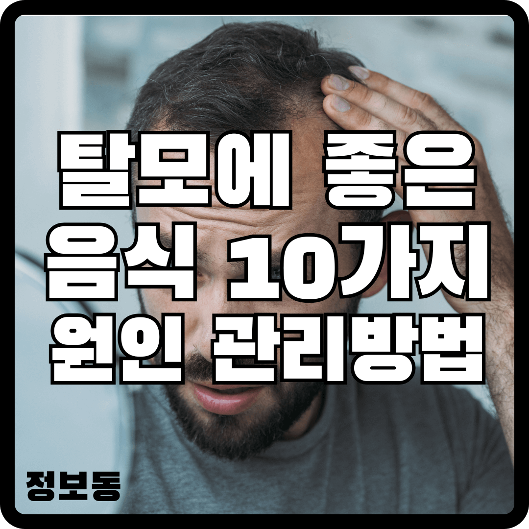 탈모에 좋은 음식 10가지 원인 관리방법