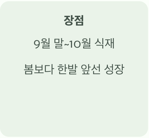 가을 식재, 전문가의 선택