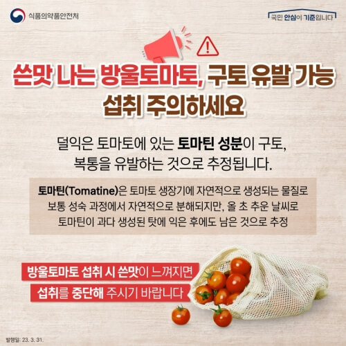 덜익은 토마토에 있는 토마틴 성분이 구토를 일으킵니다.(출처-식품의약품안전처)