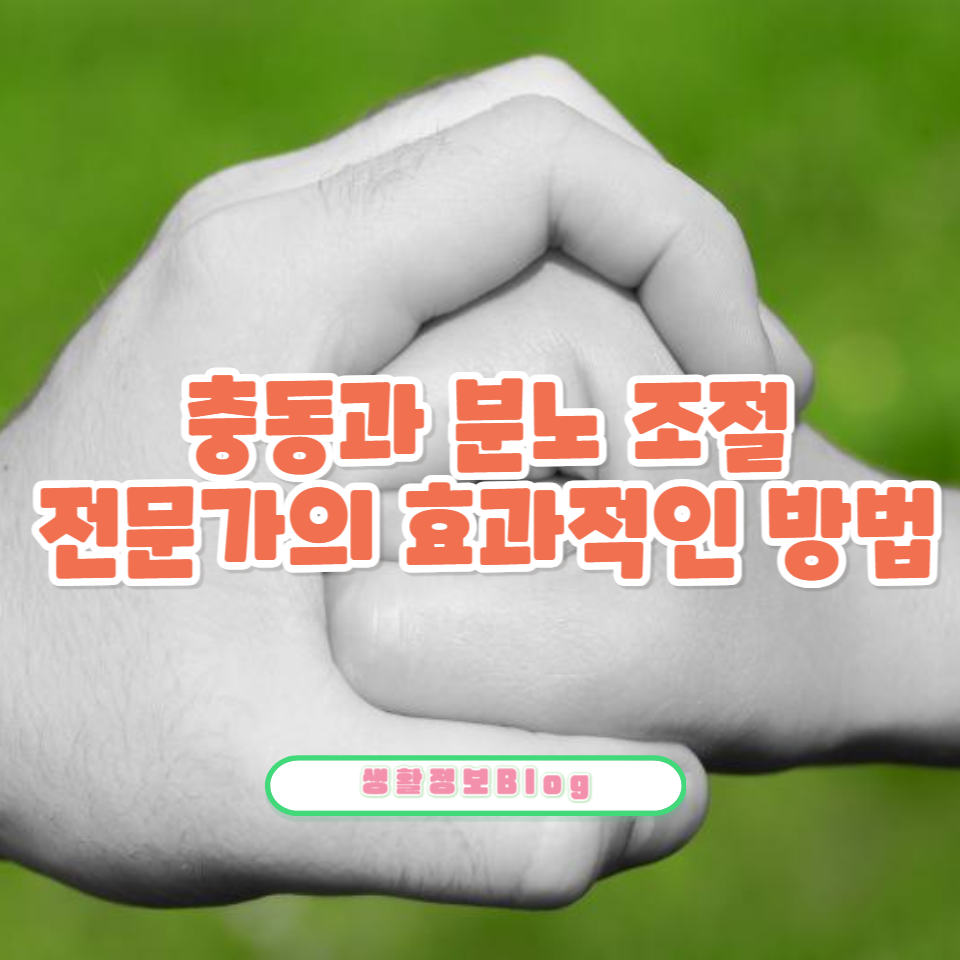 과거 기억으로 인한 충동과 분노 조절에 어려움