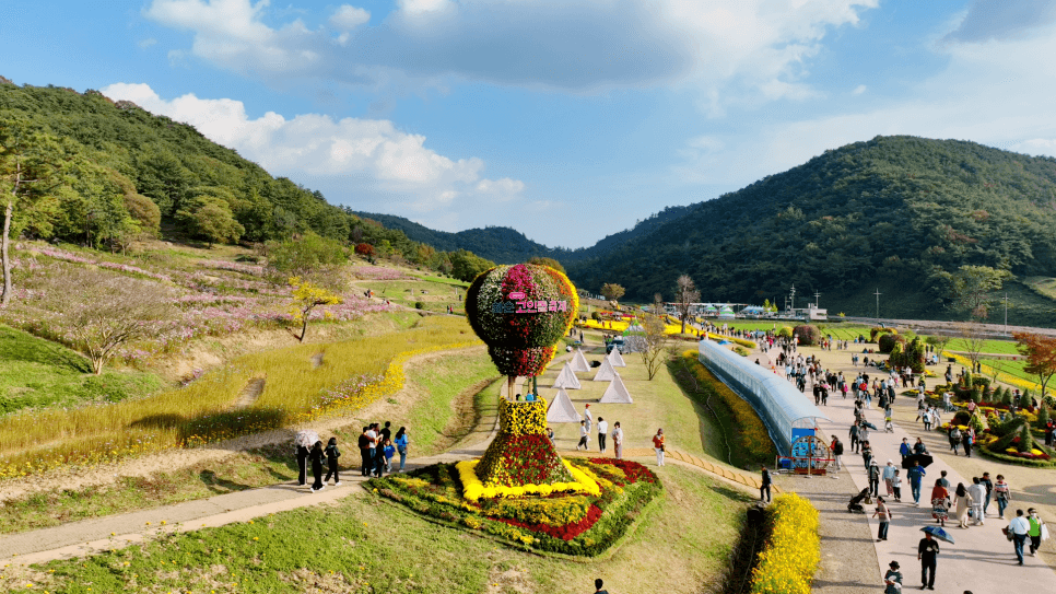 화순 고인돌 가을꽃 축제