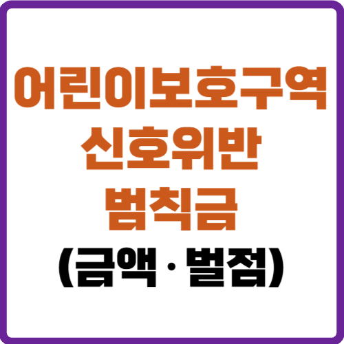 어린이보호구역 신호위반 범칙금