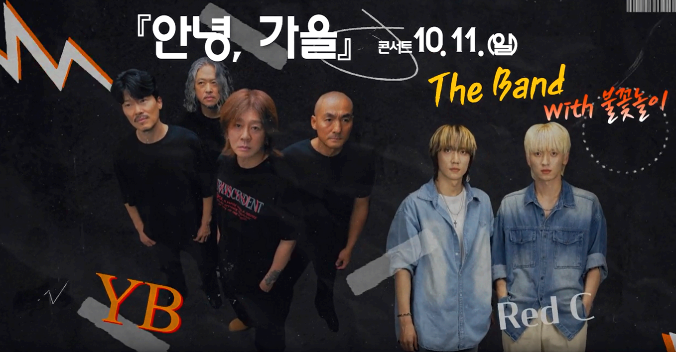 장성 황룡강 가을꽃축제