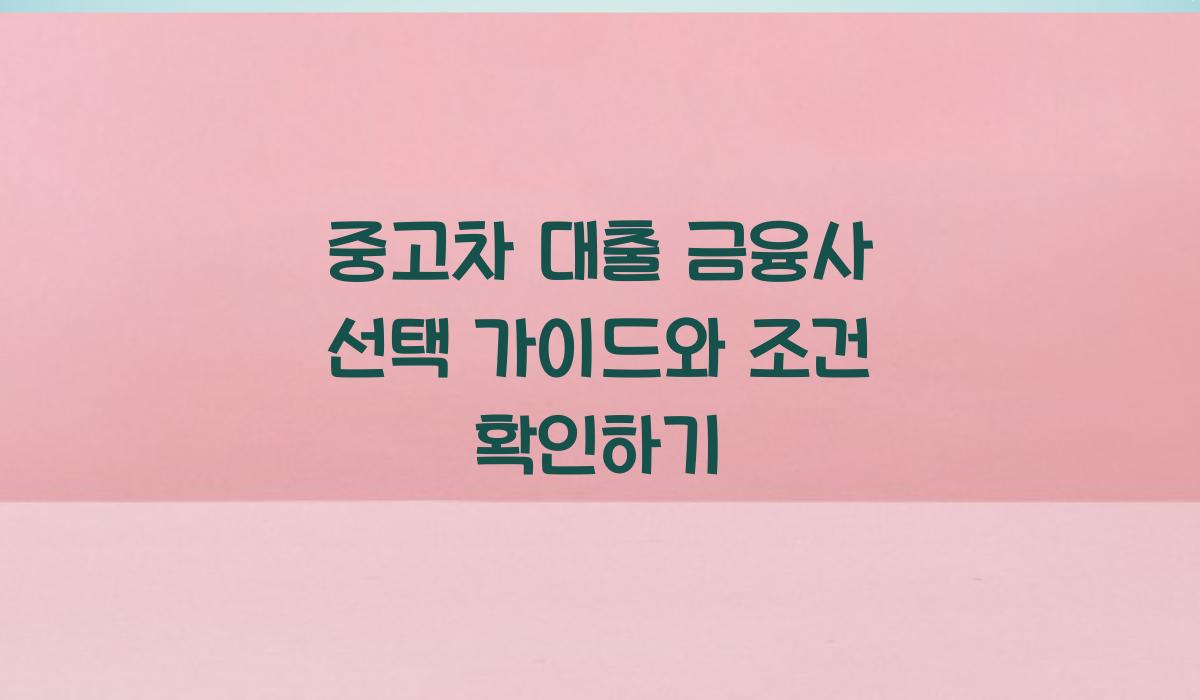 중고차 대출 금융사