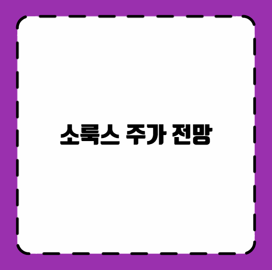 소룩스 주가 전망