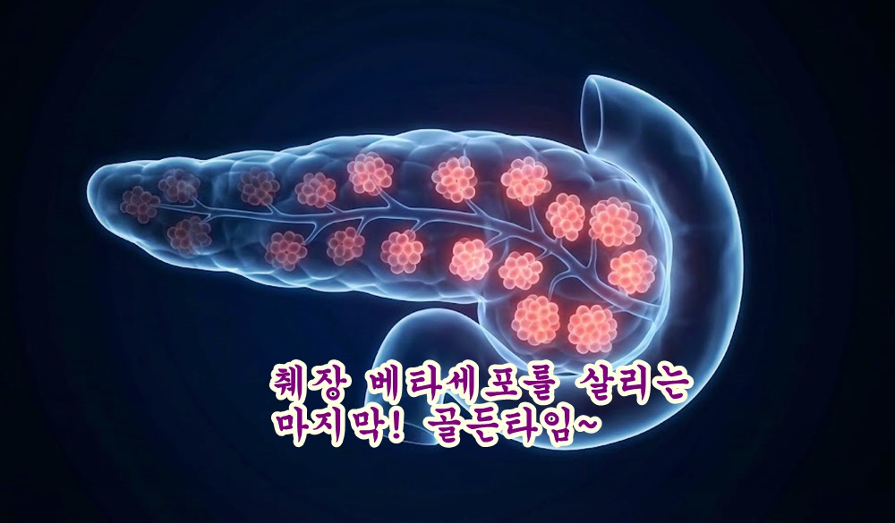 베타세포를 망치는 의외의 ‘건강 습관’ 7가지, 대부분 좋다고 믿는다