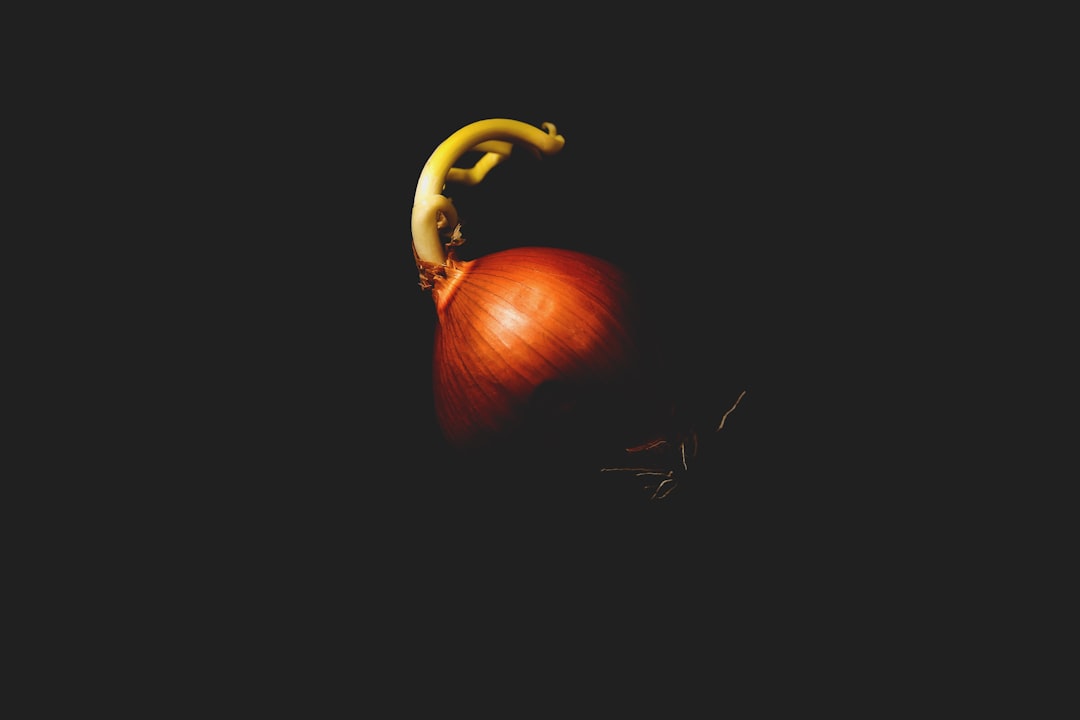 Onion