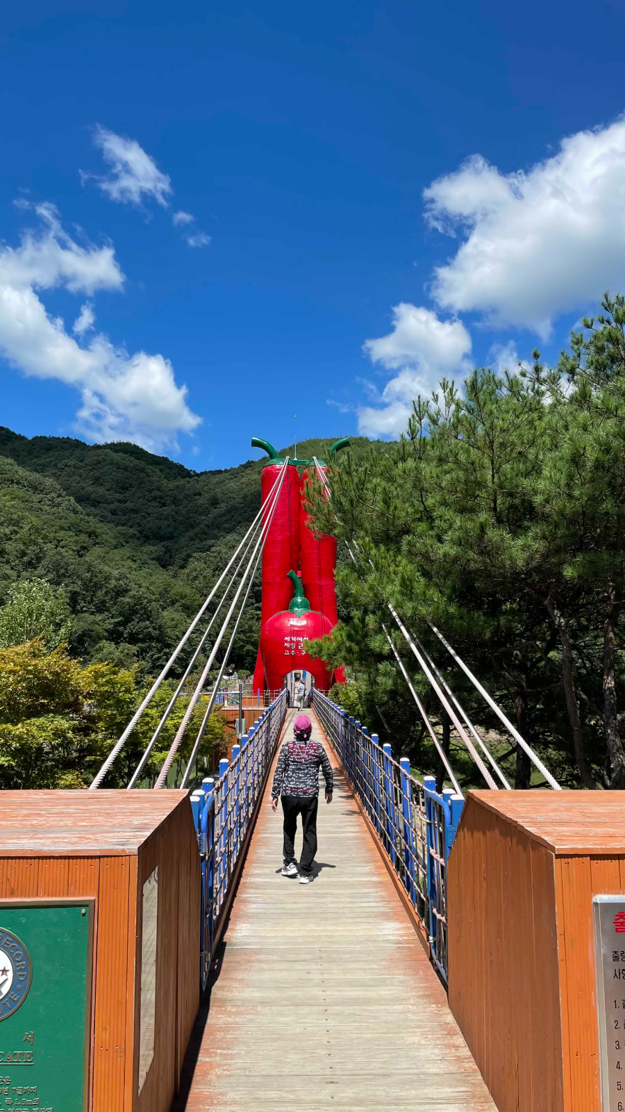 청양 천장호 출렁다리